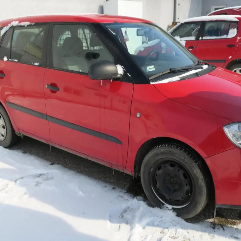 Car Skoda Fabia Van